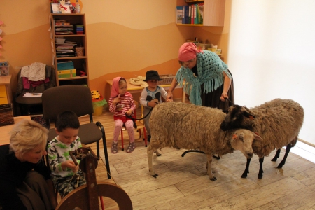 Odwiedziły nas owieczki - część pierwsza- 23.10.2019