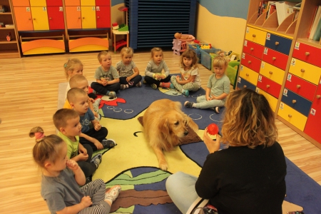 Zajęcia edukacyjne z udziałem psa - dogoterapia - 28.09.2020